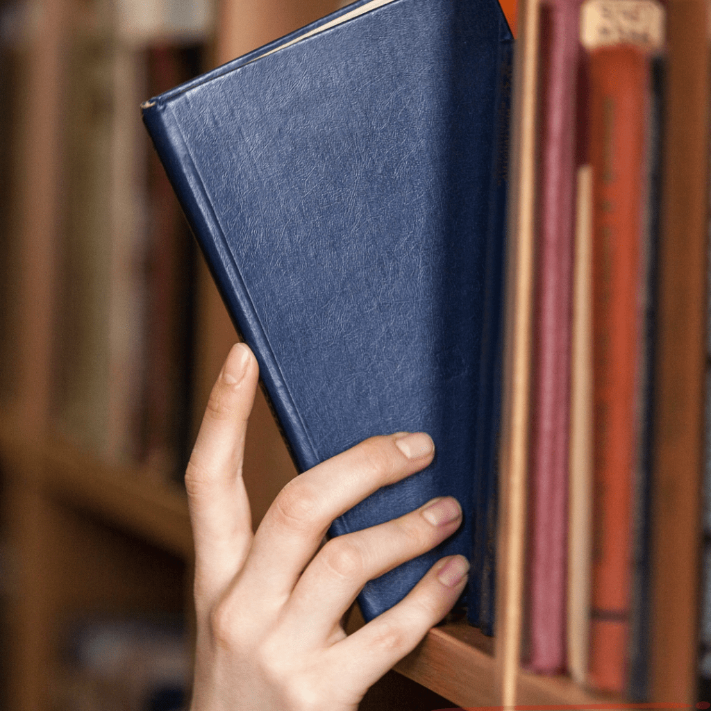 Audience, Genre, &&nbsp;Sub-Genre